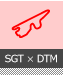 SGT X DTM